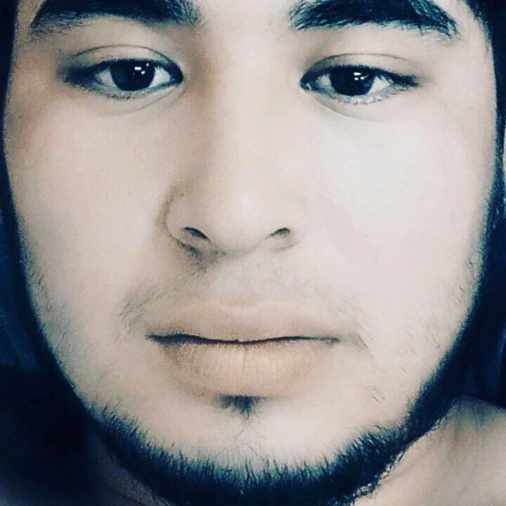 ���������� ���������, ���� ����� �����, 24 ����, ������������ 