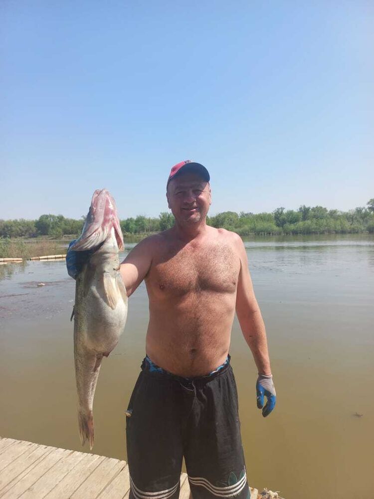 ���� 26802841 ������� �����, 55 ���, ���� ���������� � ��������