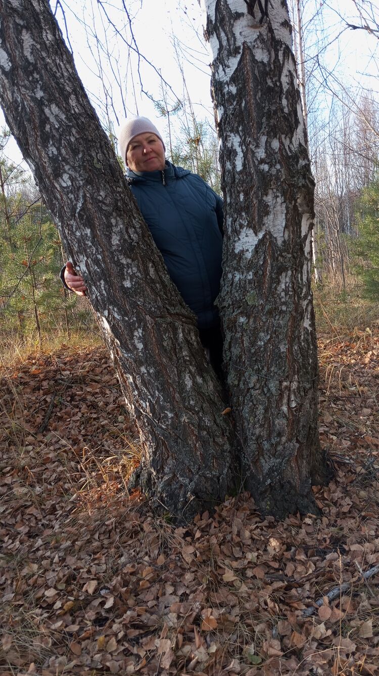 ���� 55386091 ������� �������, 63 ����, ���� ���������� � ������