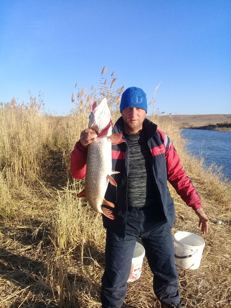 ���� 11814131 ������� ������, 40 ���, ���� ���������� � ������