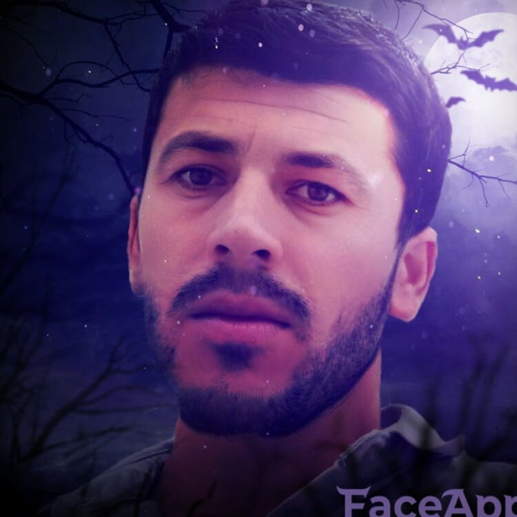 ���� 27183381 ������� ������, 33 ����, ���� ���������� � ������