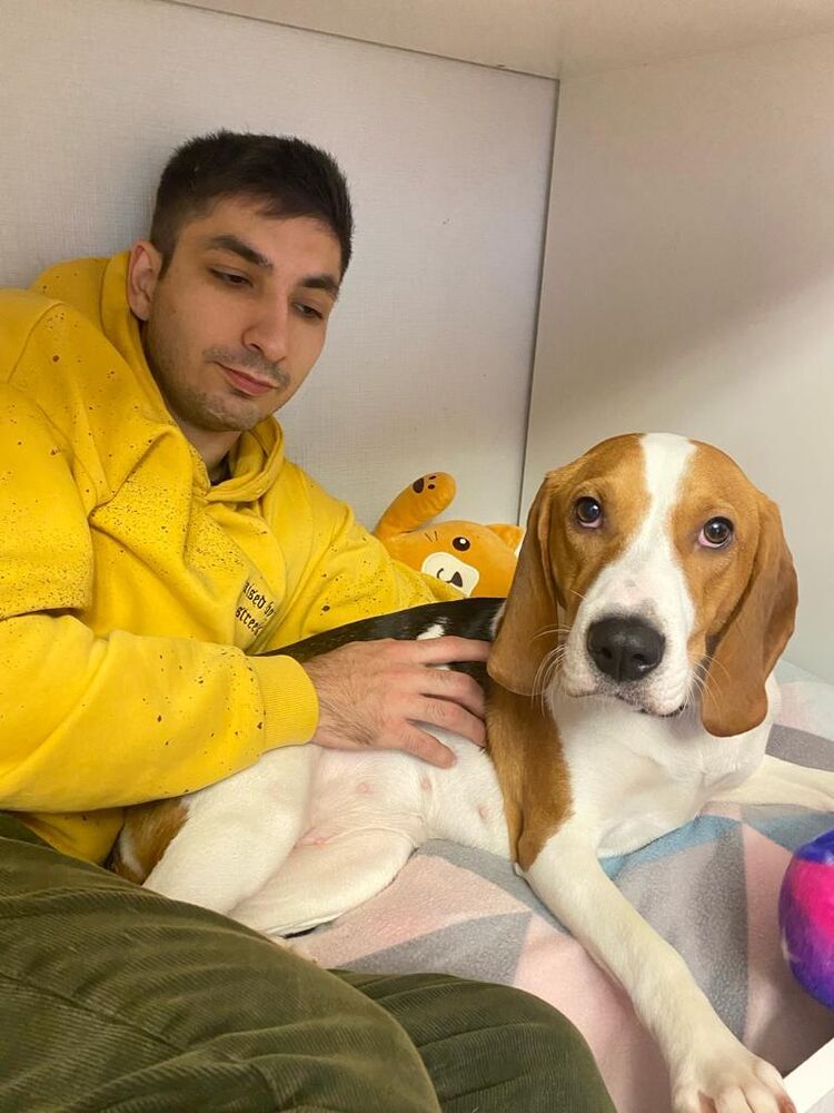 ���� 39570781 ������� ��������, 27 ���, ���� ���������� � �����-����������