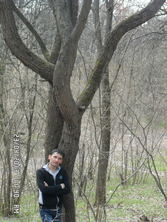 ���������� ������, ���� ������� Ruslan, 41 ���, ������������ ��� ������, ����� � ���������