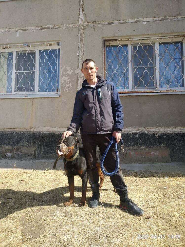 ���� 26314301 ������� ������, 29 ���, ���� ���������� � ��������