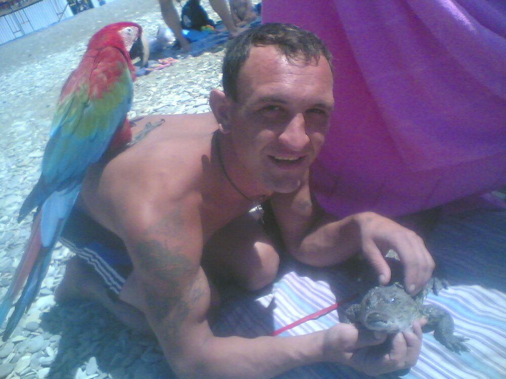 ���������� ���������, ���� ������� ������, 44 ����, ������������ ��� ������, ����� � ���������, c�������� ���������