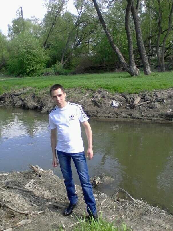  53900981  , 44 ,    -