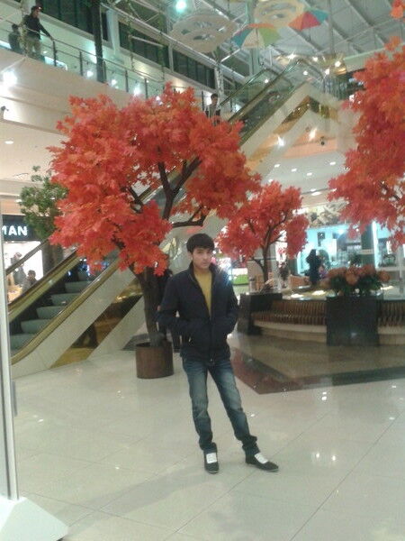 ���� 18185881 ������� Amir, 34 ����, ���� ���������� � ����������