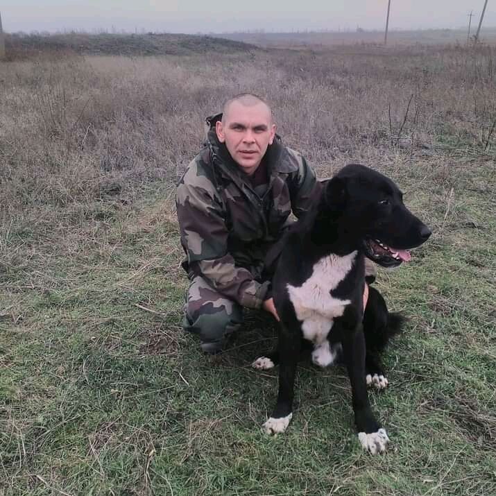  ,   , 41 ,   ,   , 