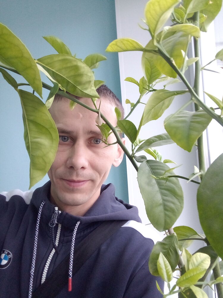 ���������� ��������, ���� ������� ������, 34 ����, ������������ ��� ����� � ���������, c�������� ���������