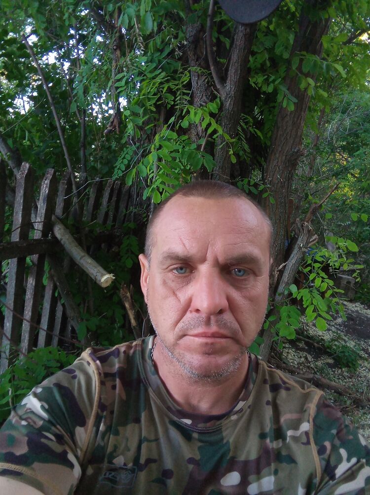  43541841  , 50 ,    