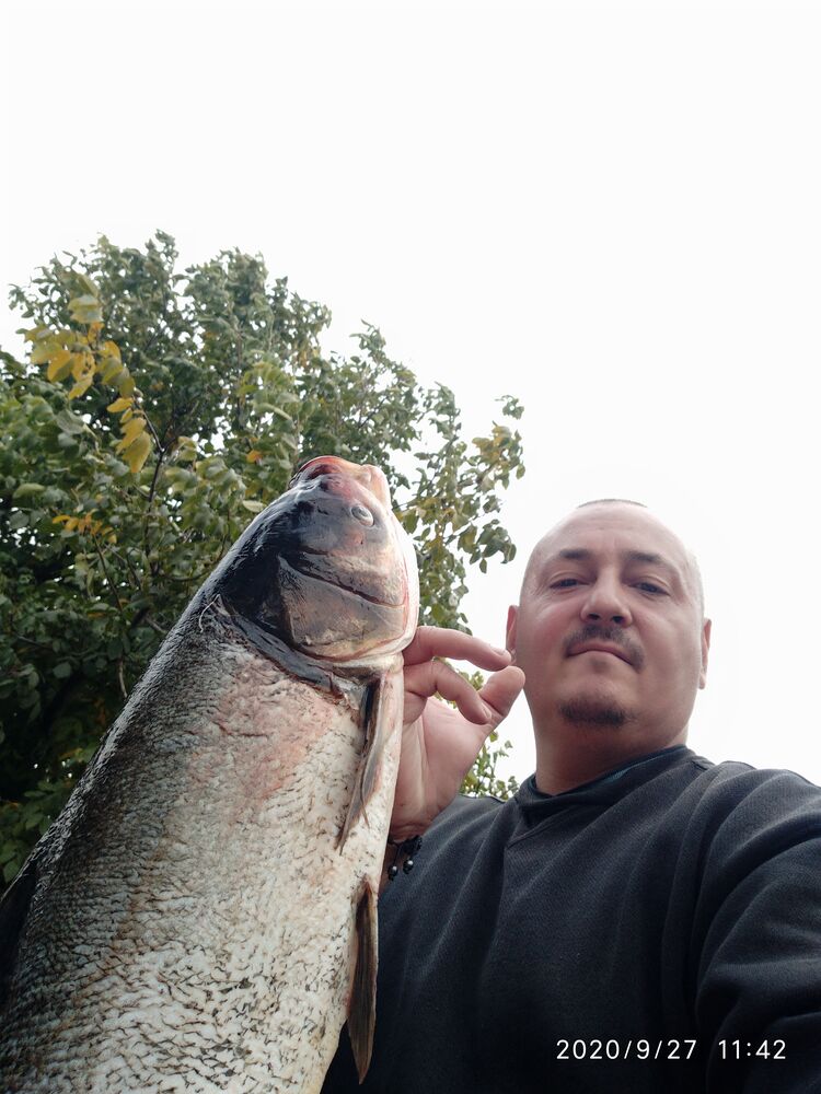 ���������� �������, ���� ������� �������, 45 ���, ������������ ��� ������, ����� � ���������, c�������� ���������