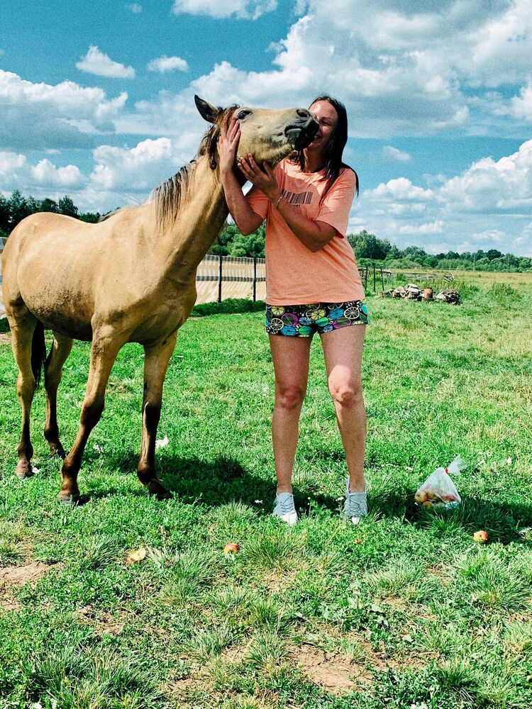 ���������� �������, ���� ������� Catalina, 35 ���, ������������ ��� ������, ���������