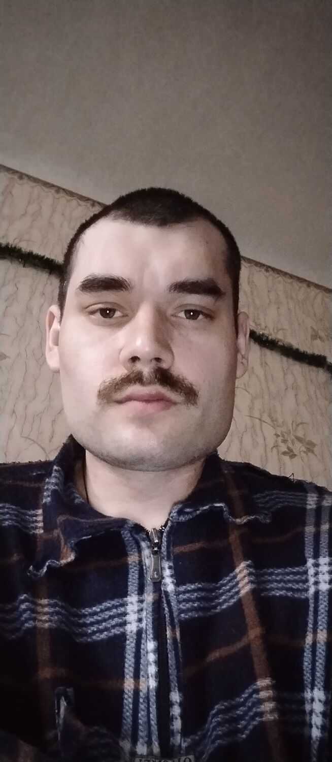  33512741  , 31 ,    