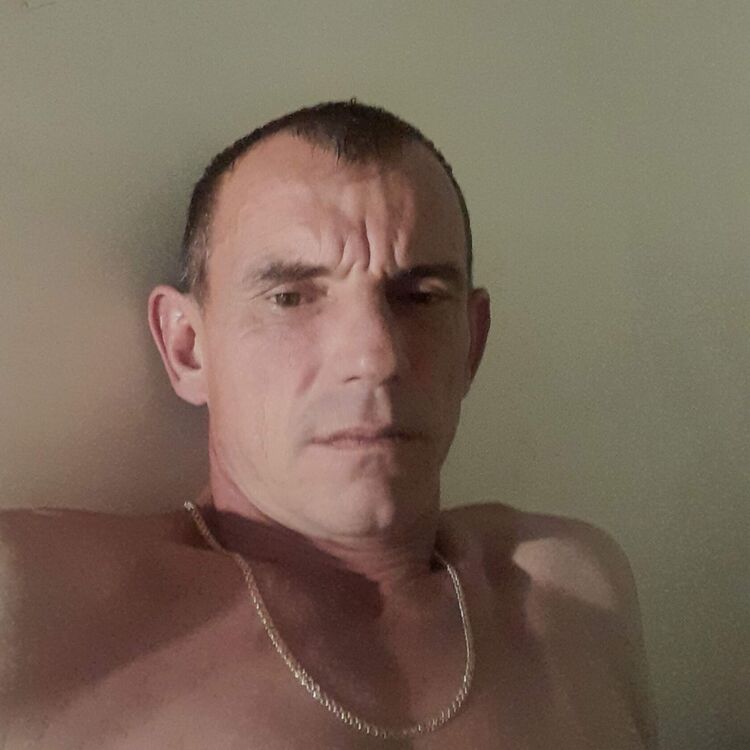  34512701  , 46 ,    