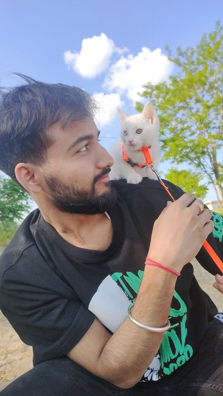  --,   , 24 ,   ,   , c 