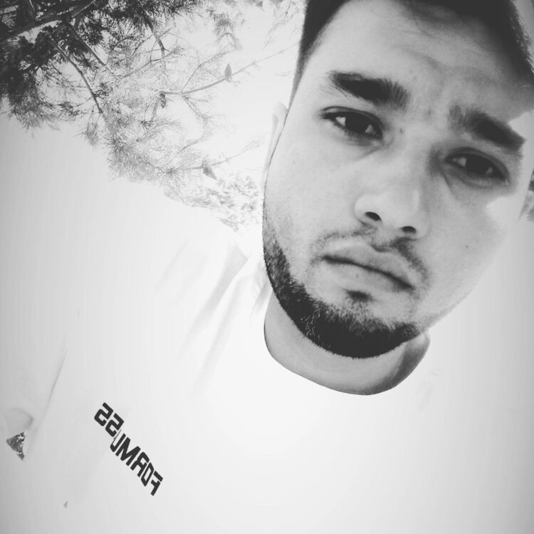 ���� 26014731 ������� ����, 28 ���, ���� ���������� � �����