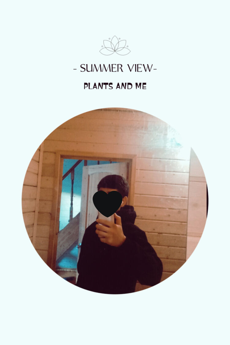 ���� 42342801 ����� �����, 22 ����, ���� ���������� � ������