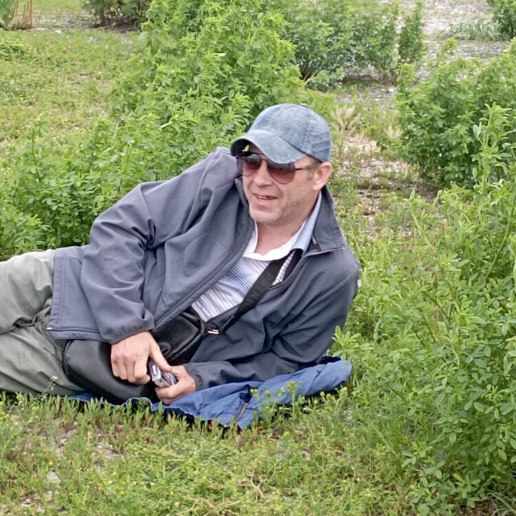  ,   , 49 ,   ,   