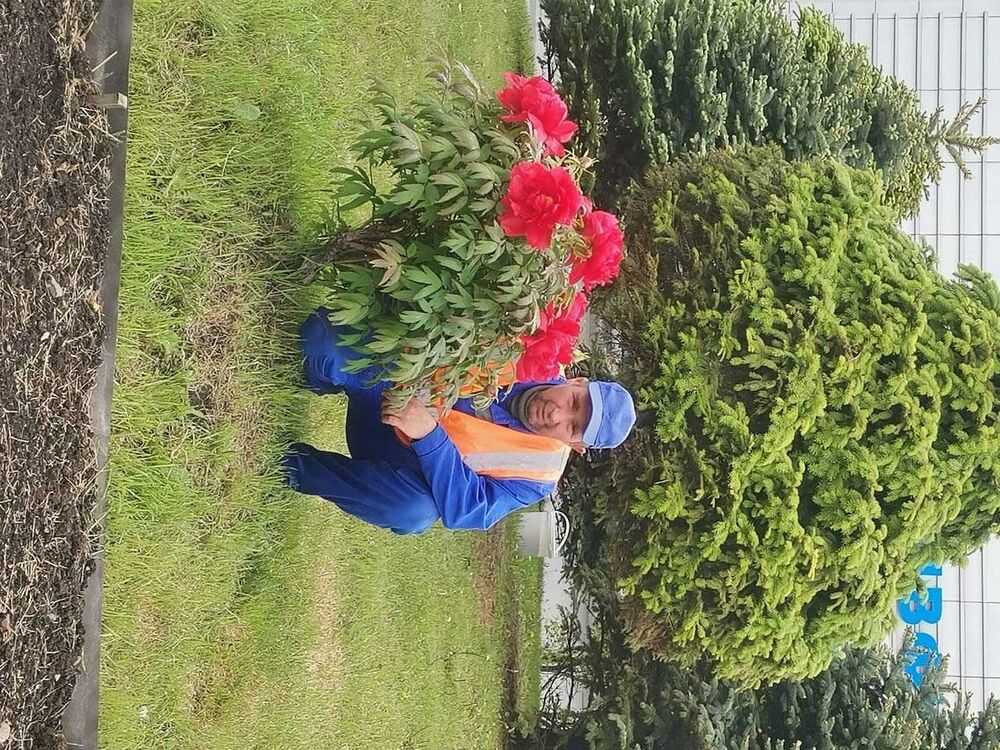 ���� 27894821 ������� ����, 49 ���, ���� ���������� � ������������