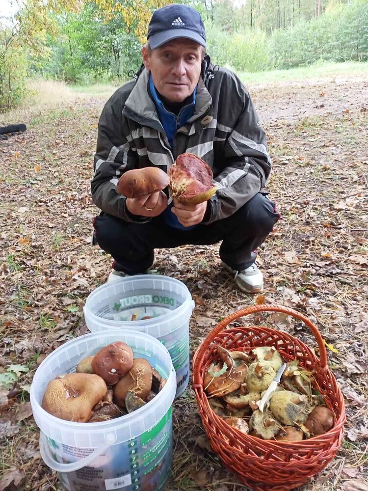 ���������� ����, ���� ������� ���d, 57 ���, ������������ 