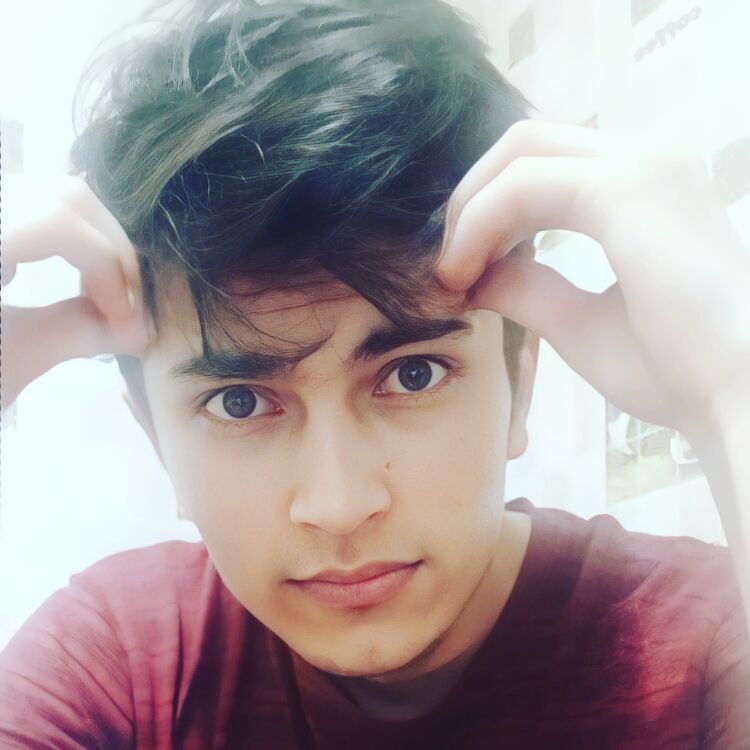 ���� 33146471 ����� �������, 23 ����, ���� ���������� � ������������