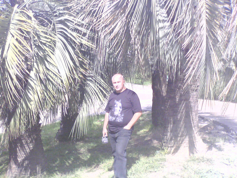  20606741  , 53 ,    