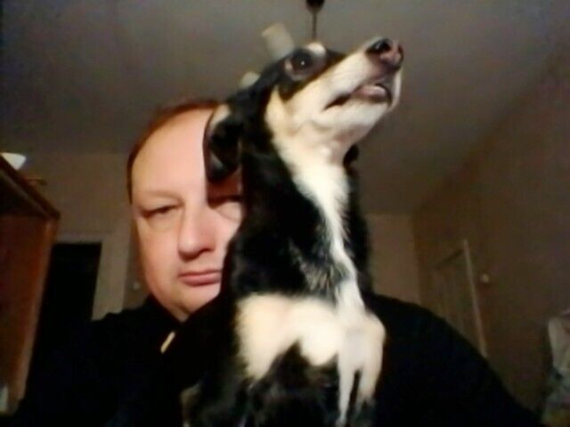 ���������� ������������, ���� ������� ��������, 48 ���, ������������ ��� c�������� ���������