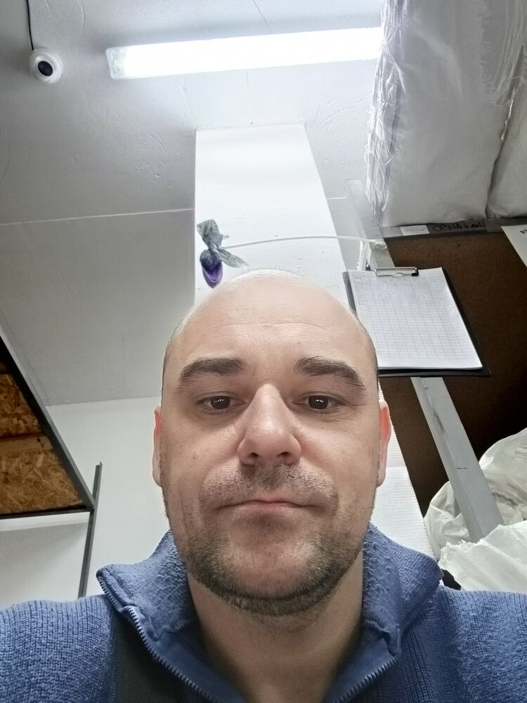 ���� 55184491 ������� �������, 42 ����, ���� ���������� � ������