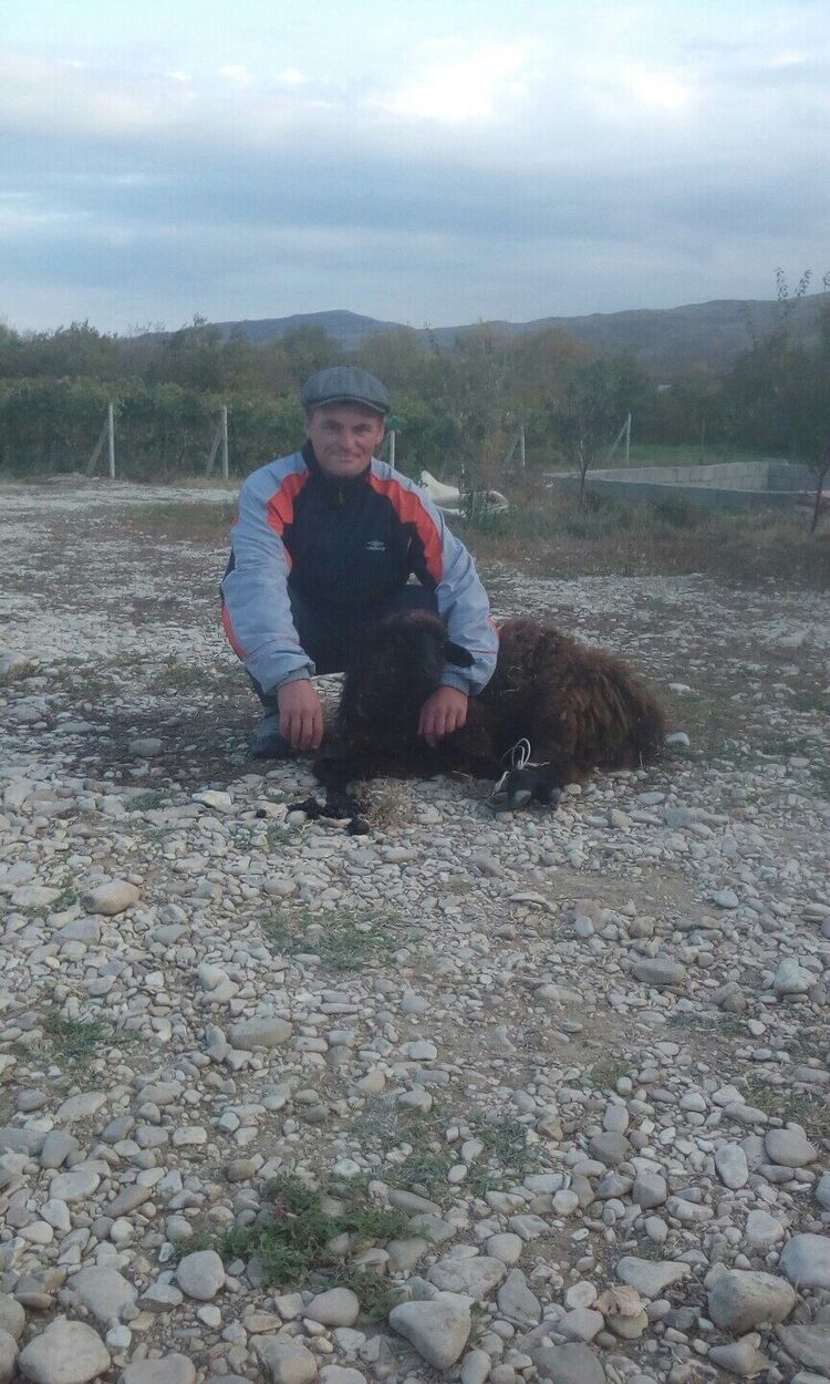  26184761  Saha, 40 ,    