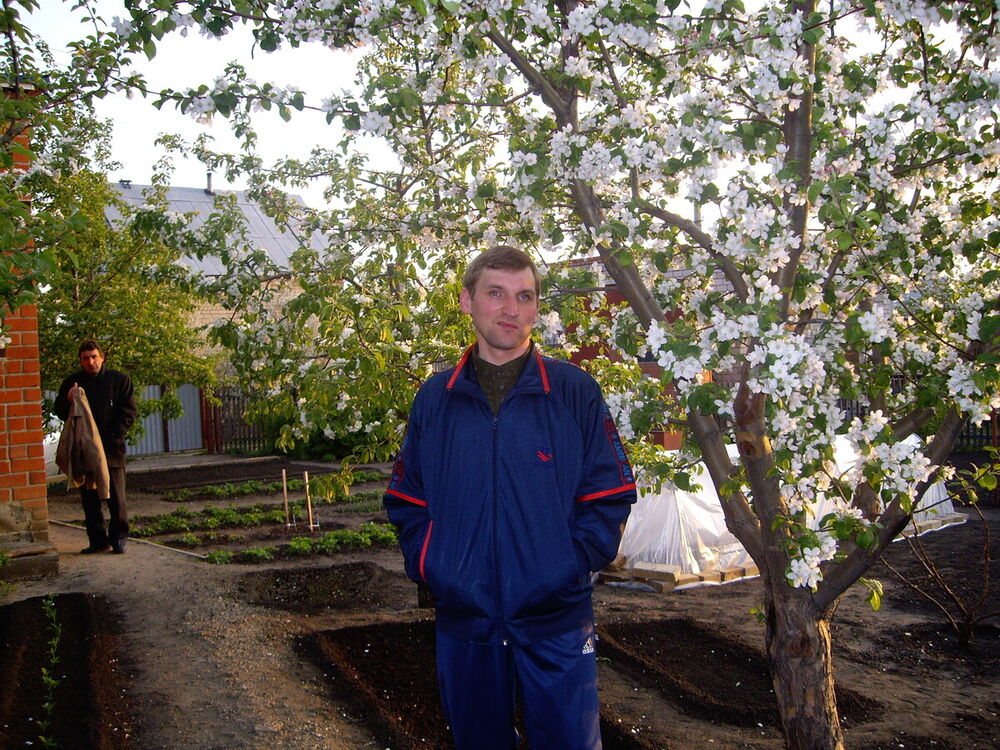 ���������� ���������, ���� ������� �������, 45 ���, ������������ ��� ����� � ���������, c�������� ���������