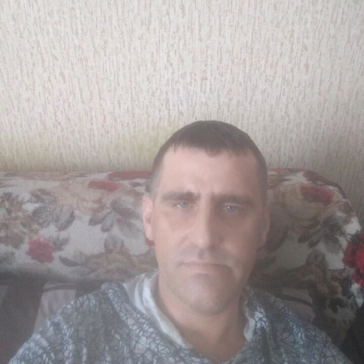  42668011  , 48 ,    