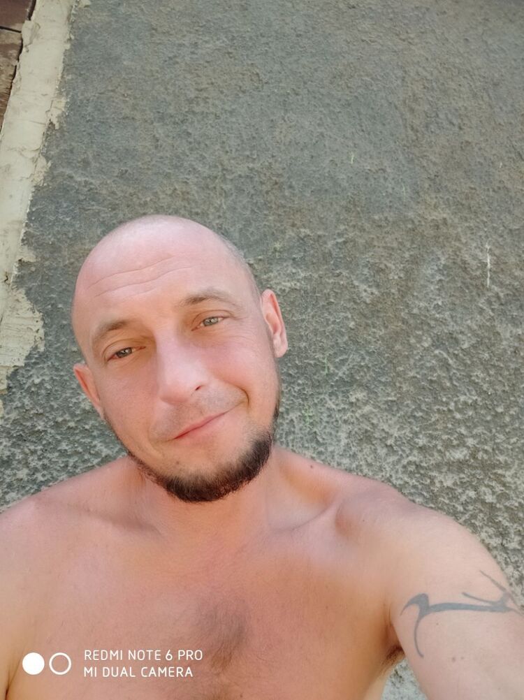  45561341  , 39 ,    -
