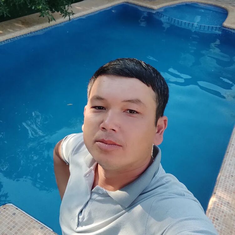 33013861  , 33 ,    