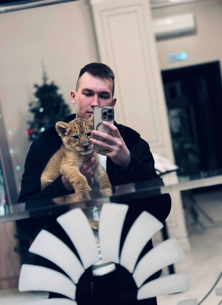 ���� 56008471 ����� ������, 24 ����, ���� ���������� � ����