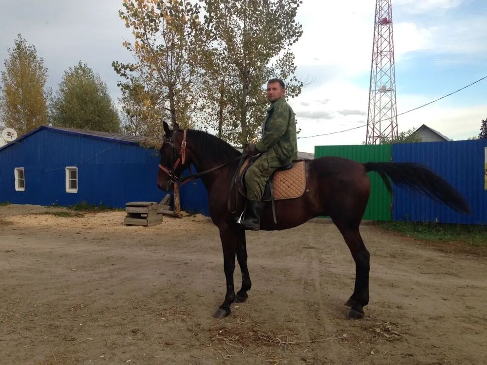 ���������� �����������, ���� ������� ������, 30 ���, ������������ ��� ������, ����� � ���������, c�������� ���������, ���������