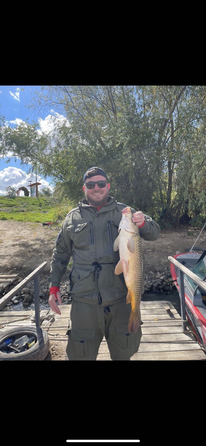 ���� 36118221 ������� Hase, 35 ���, ���� ���������� � ������