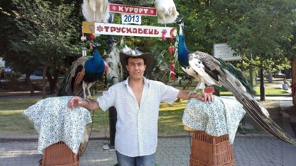 ���� 28803441 ������� ������, 45 ���, ���� ���������� � �������