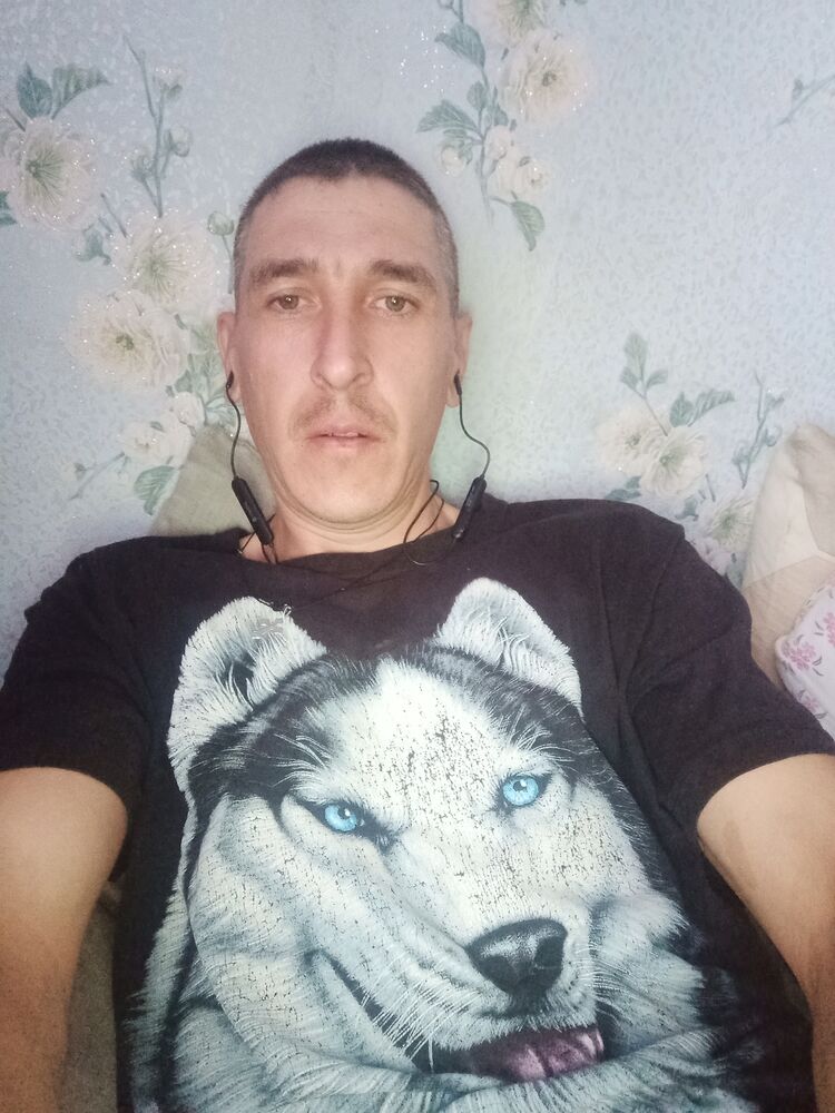  48266721  , 36 ,    