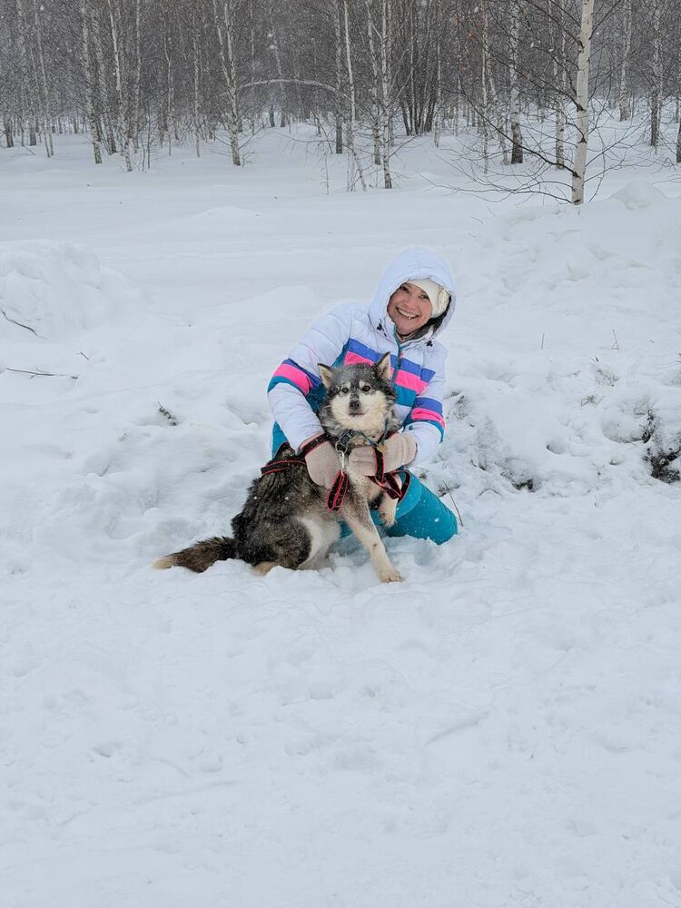 ���� 56352351 ������� �������, 37 ���, ���� ���������� � ������������