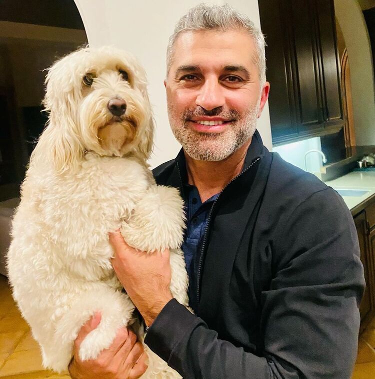 ���������� ������, ���� ������� ���������, 61 ���, ������������ ��� ������, ����� � ���������