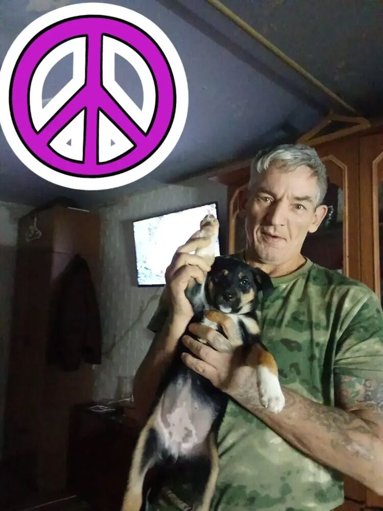  51625481  , 50 ,    Novy