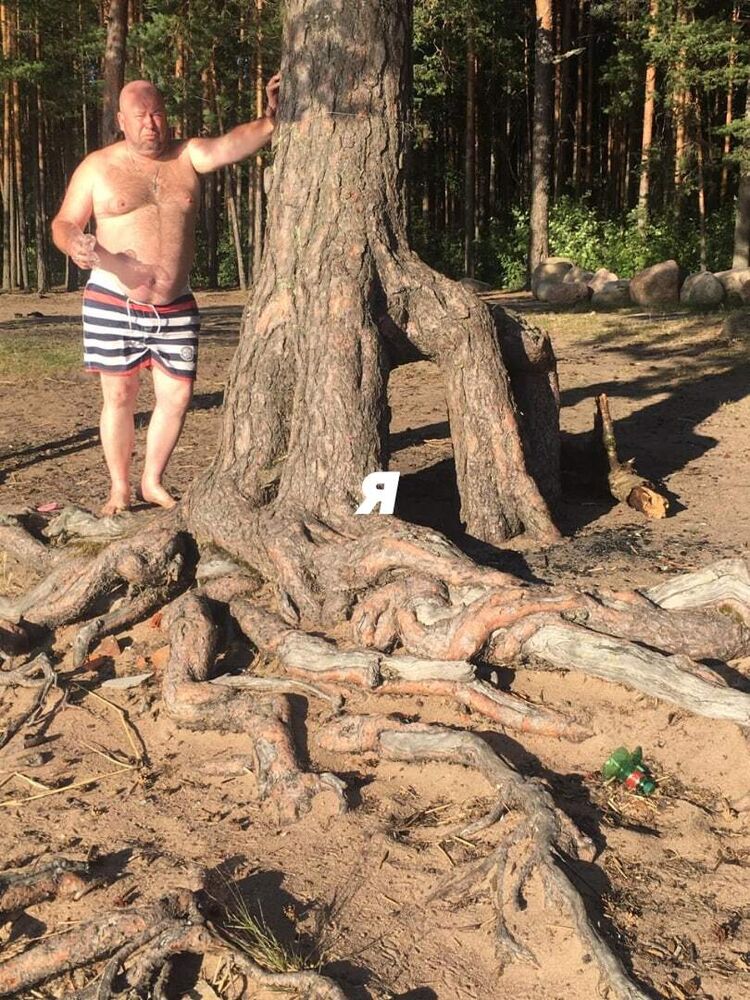  -,   , 49 ,   ,   