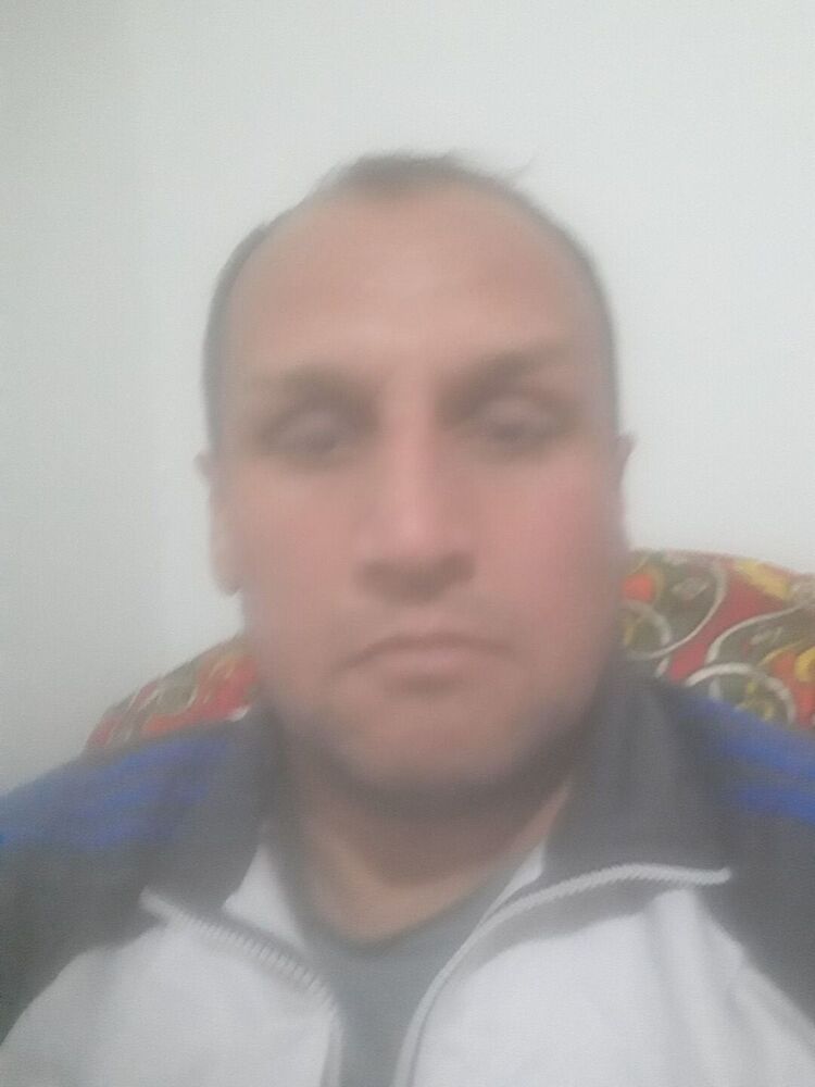 ���� 31018201 ������� ����, 49 ���, ���� ���������� � ��������