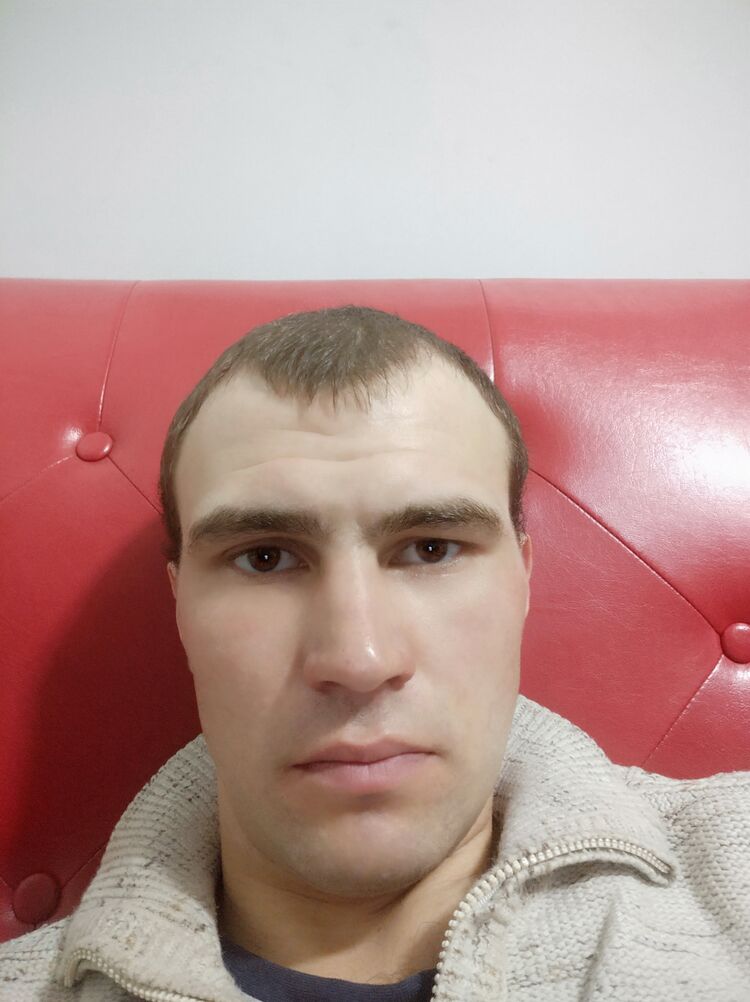  31718541  , 29 ,    