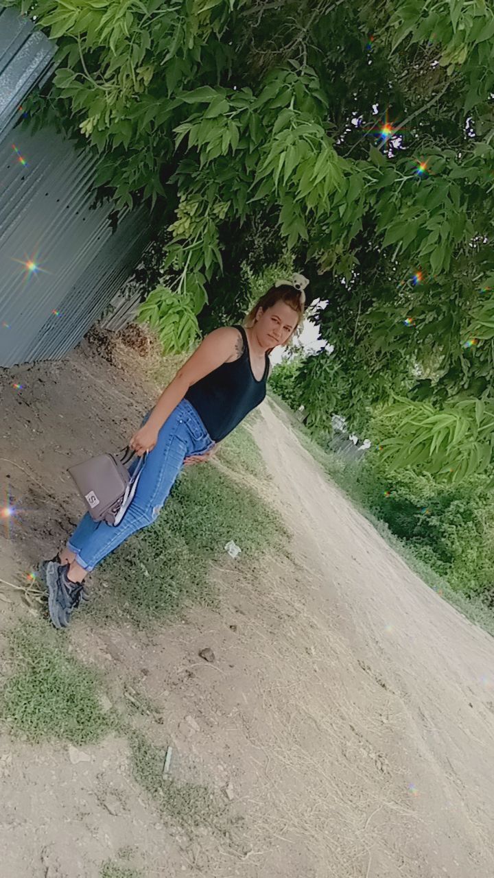  43004311  , 27 ,    
