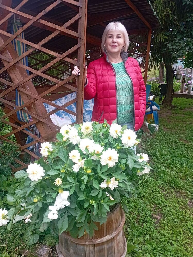 ���� 55304871 ������� �����, 60 ���, ���� ���������� � ��������