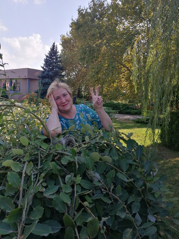 ���� 50581791 ������� �������, 65 ���, ���� ���������� � ��������