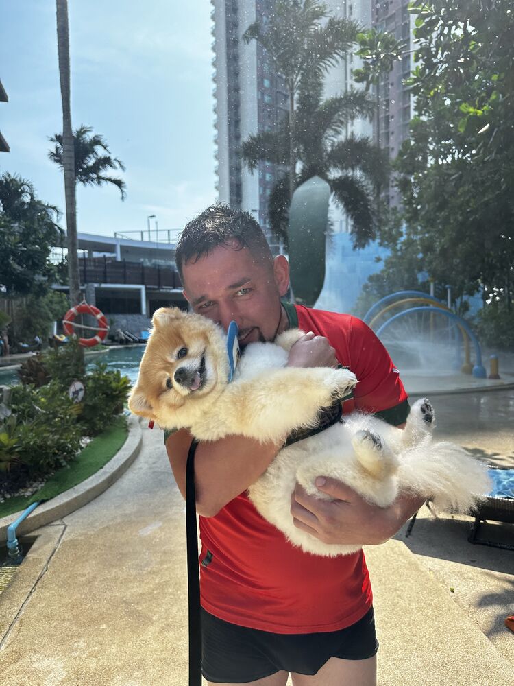 ���������� ������, ���� ������� ���������, 38 ���, ������������ ��� ������, ����� � ���������, c�������� ���������, ���������