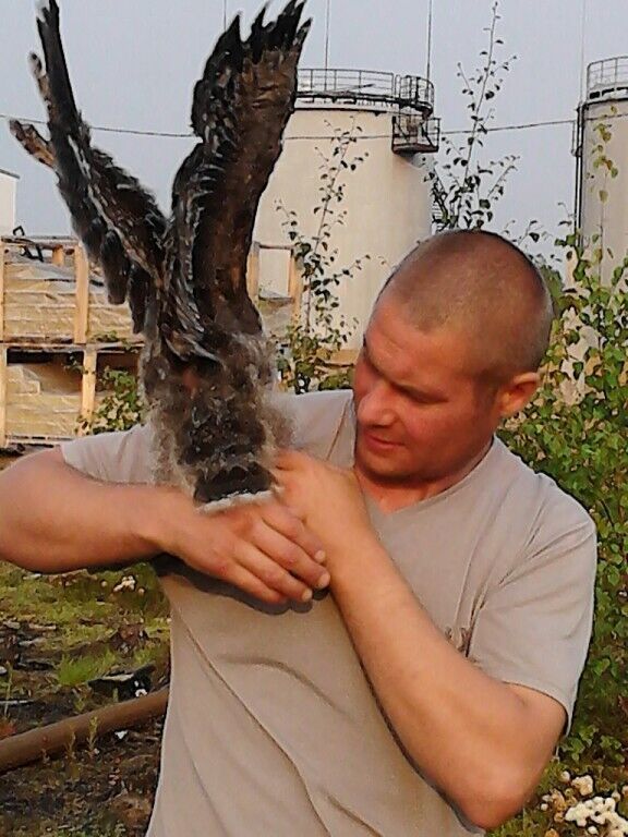 ���� 25478381 ������� �������, 46 ���, ���� ���������� � ������