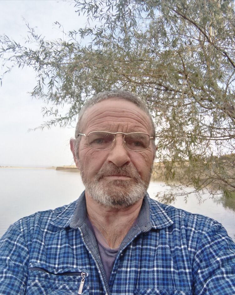 ���� 38339561 ������� �����, 67 ���, ���� ���������� � ���������